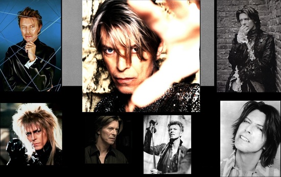 Bowie wallpaper.jpg